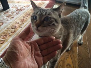 2015-06-12 14.47.17.jpg